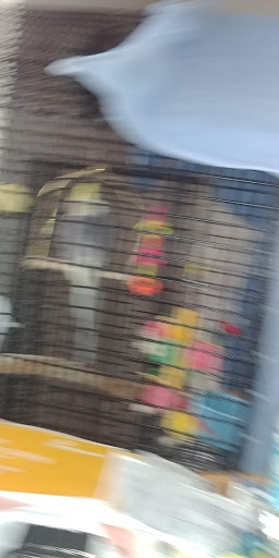 Pet Store «Pet Kingdom», reviews and photos, 4650 S Cleveland Ave, Fort Myers, FL 33907, USA