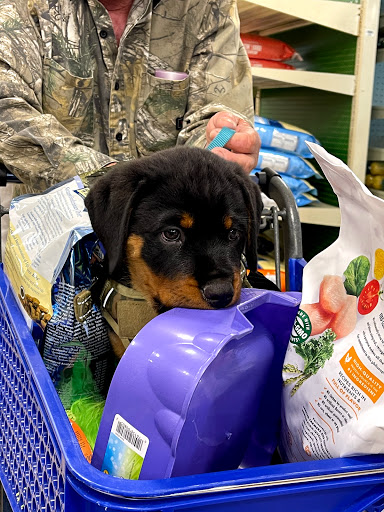 Pet Supply Store «PetSmart», reviews and photos, 2500 Posner Blvd, Davenport, FL 33837, USA