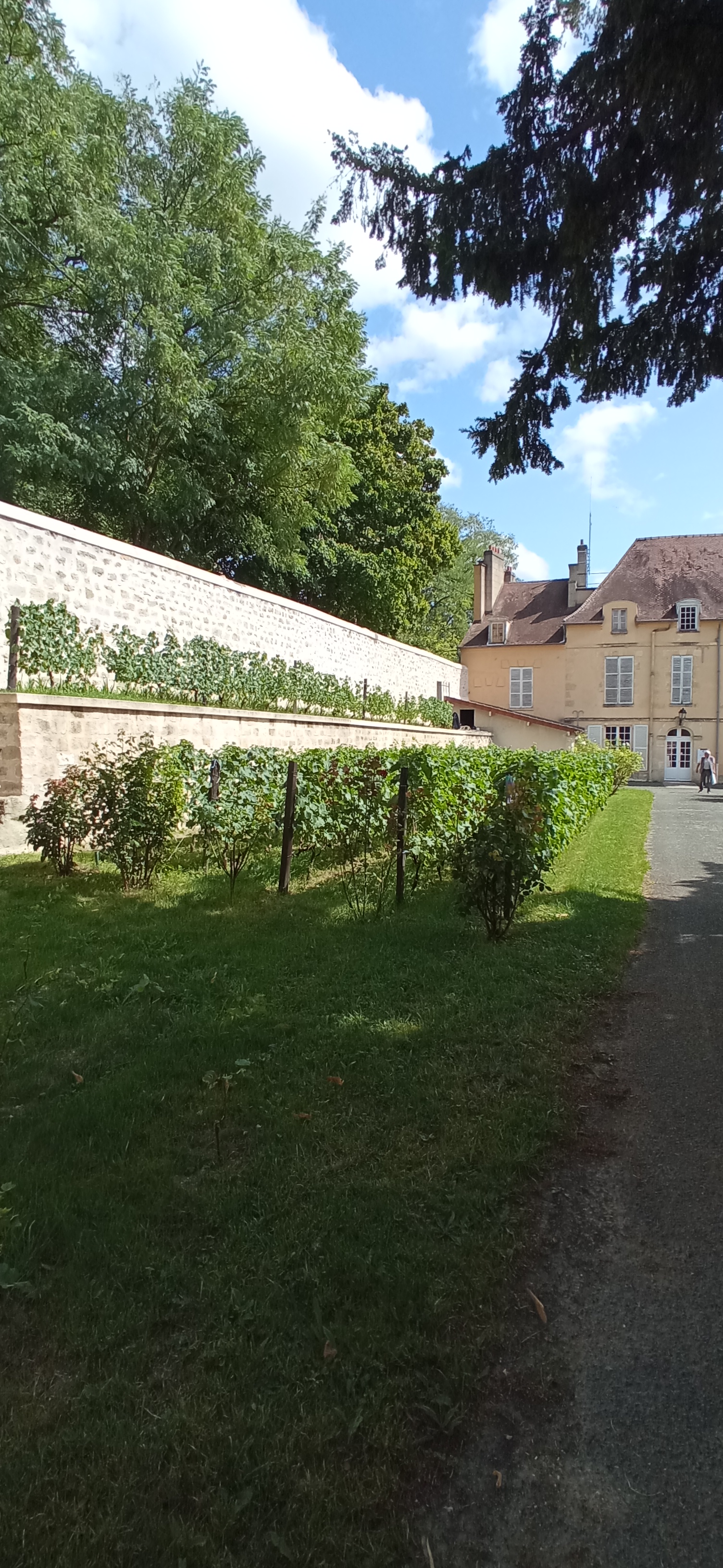 Photo n° 8 de l'avis de Shirley.u fait le 27/08/2023 à 18:15