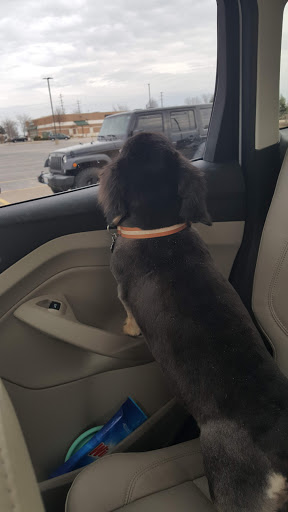 Pet Supply Store «Petco Animal Supplies», reviews and photos, 364 Randall Rd, South Elgin, IL 60177, USA