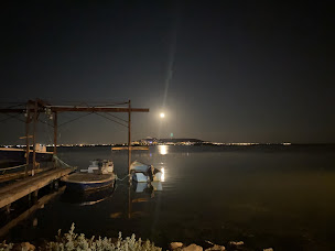 Photo n°40 de Mas Blais coquillages à Loupian ()