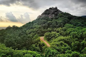 Kondapalli Reserve Forest image