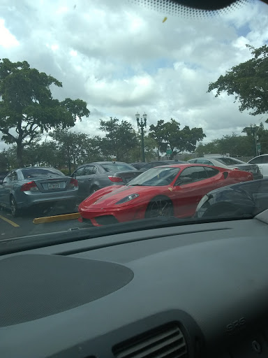 Auto Repair Shop «Davie Motors European Auto Specialist», reviews and photos, 4320 Davie Rd, Davie, FL 33314, USA