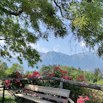 Photo n°1 de l'avis de Sere.o fait le 20/07/2022 à 14:25 sur le  Osteria sant'Anna à Sopramonte