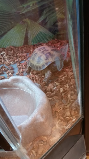 Pet Supply Store «PetSmart», reviews and photos, 1500 E Village Way #2380, Orange, CA 92865, USA