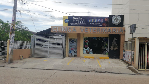 Clinicas veterinarias en Cartagena