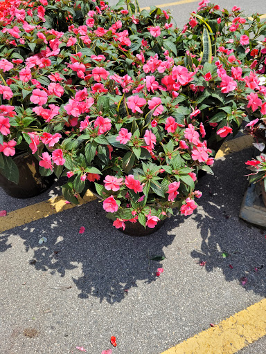 Home Improvement Store «The Home Depot», reviews and photos, 2600 S Lapeer Rd, Lake Orion, MI 48360, USA