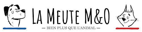 La Meute M&O à Carquefou