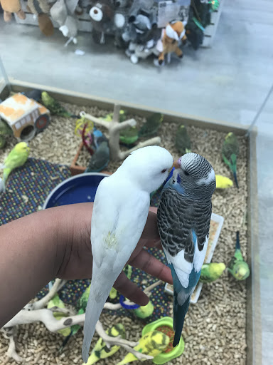 Pet Store «Petland Topeka», reviews and photos, 1801 SW Wanamaker Rd, Topeka, KS 66614, USA