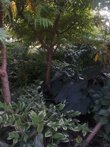 Park «Asser Levy Park», reviews and photos, 302 Sea Breeze Ave, Brooklyn, NY 11224, USA