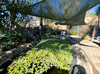 Mountain View Manor Assisted Living - Photo 9 - Car repair in Vista, CA, Oceanside