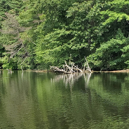 State Park «Cochituate State Park», reviews and photos, 43 Commonwealth Rd, Natick, MA 01760, USA