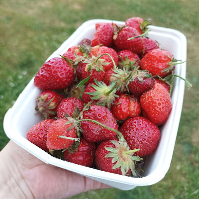 Le Potager Du Bon'Eure à Sébécourt