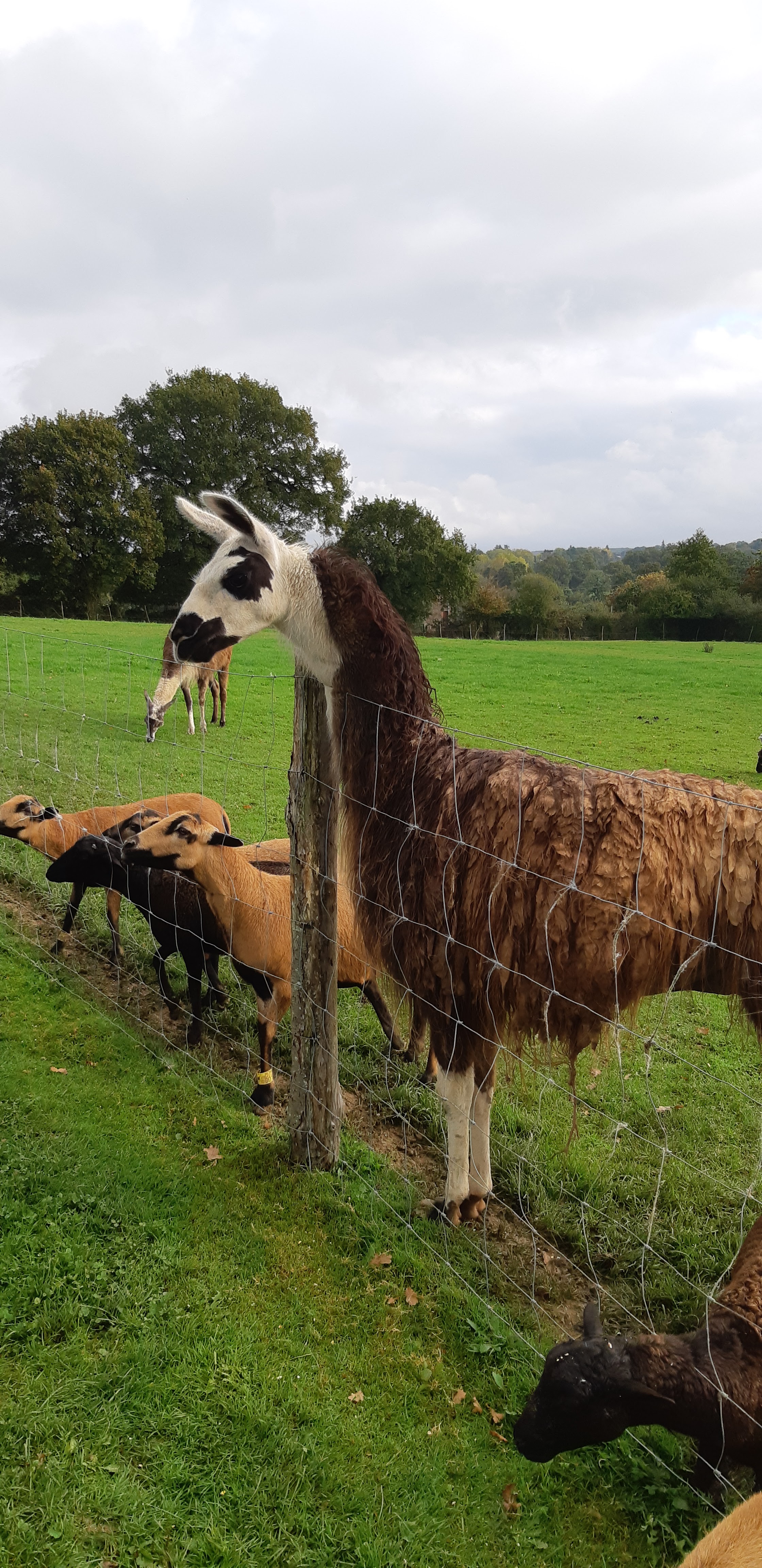 Photo n° 14 de l'avis de Yannick.a fait le 27/10/2019 à 14:17