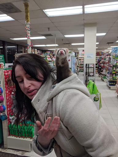 Pet Supply Store «Pet Supplies Plus», reviews and photos, 67 W Golf Rd, Arlington Heights, IL 60005, USA