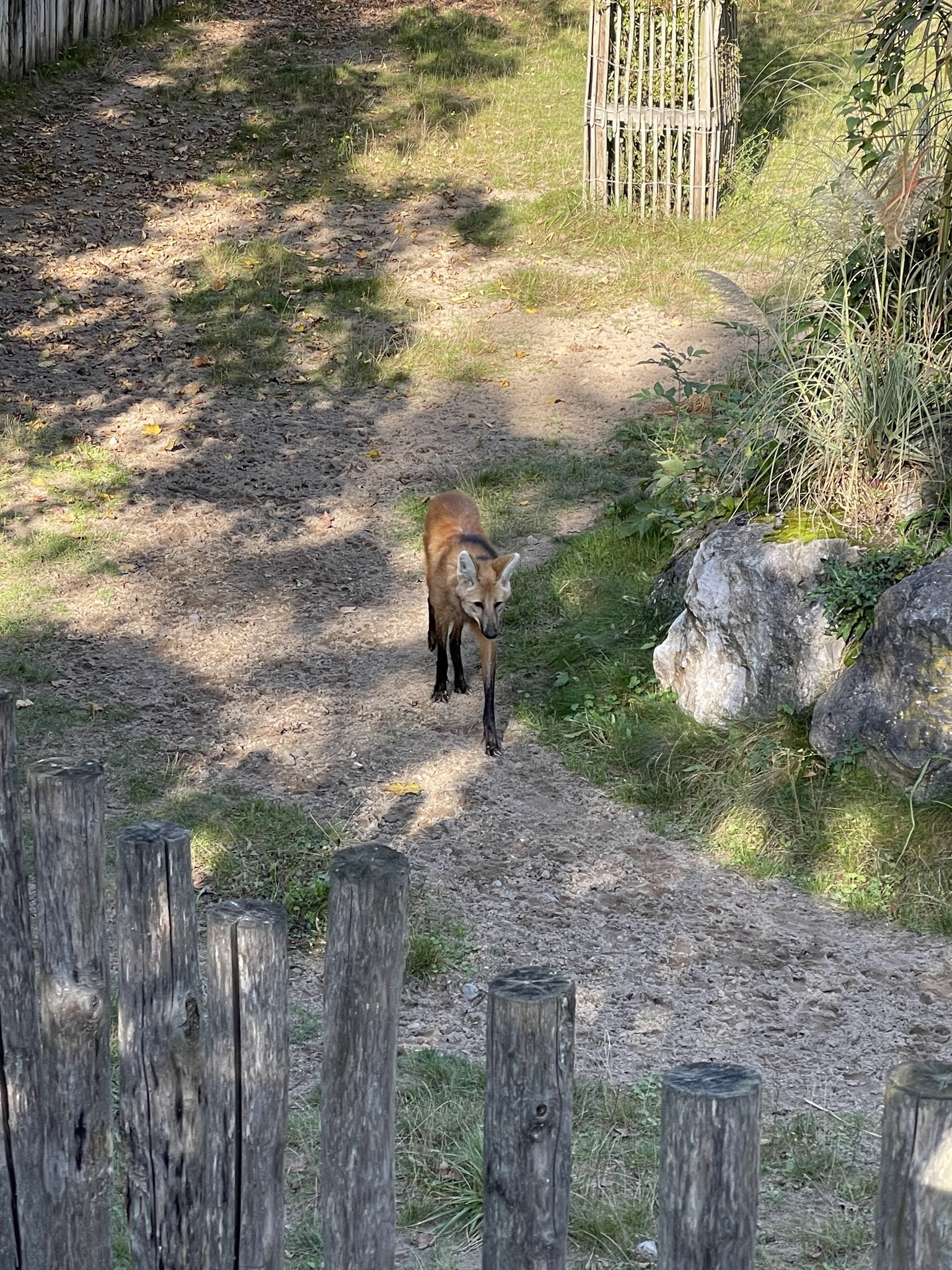 Photo n° 2 de l'avis de Clément.l fait le 19/10/2021 à 08:42