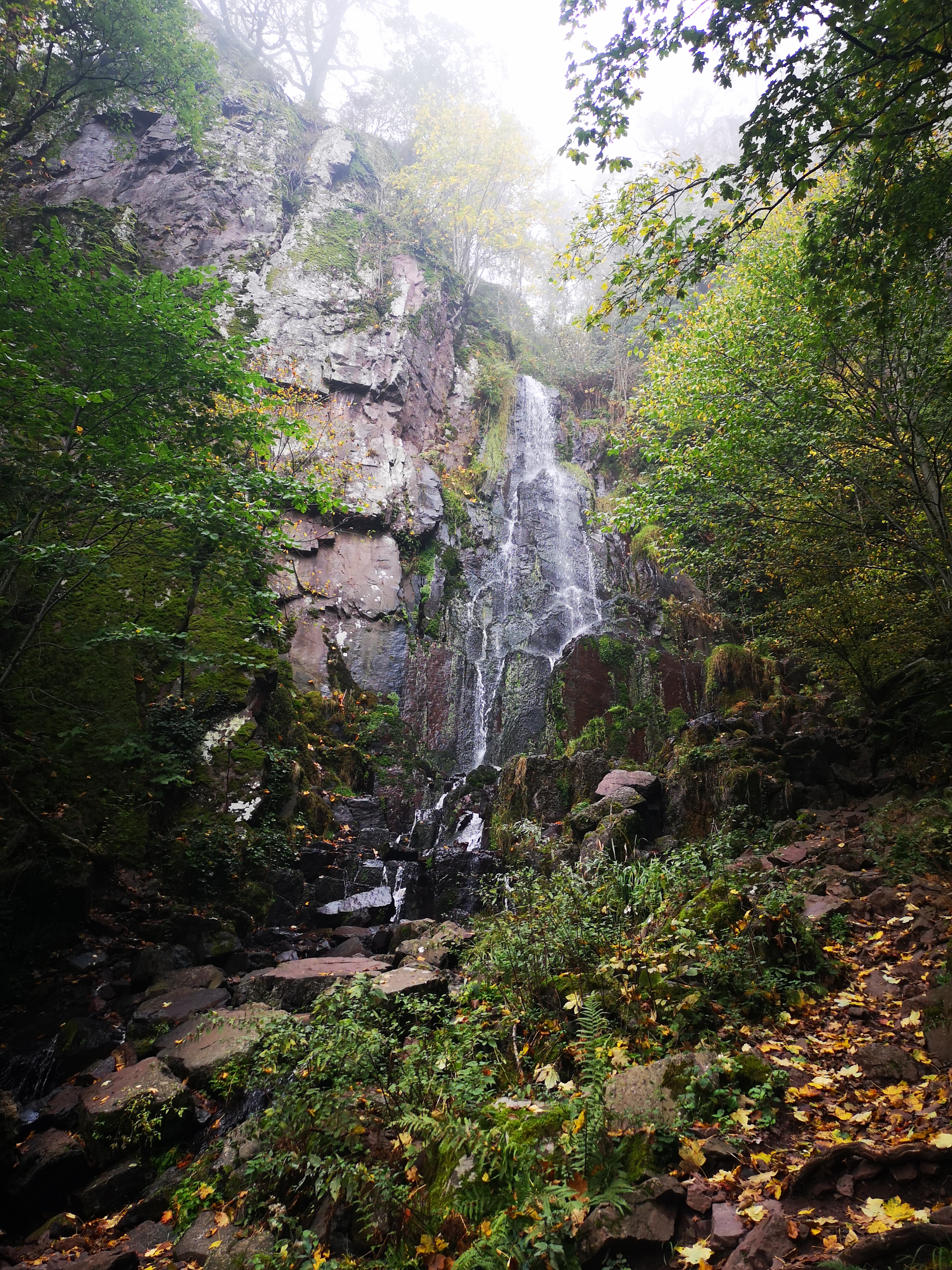 Photo n° 2 de l'avis de CMNMGR. fait le 01/11/2019 à 19:16