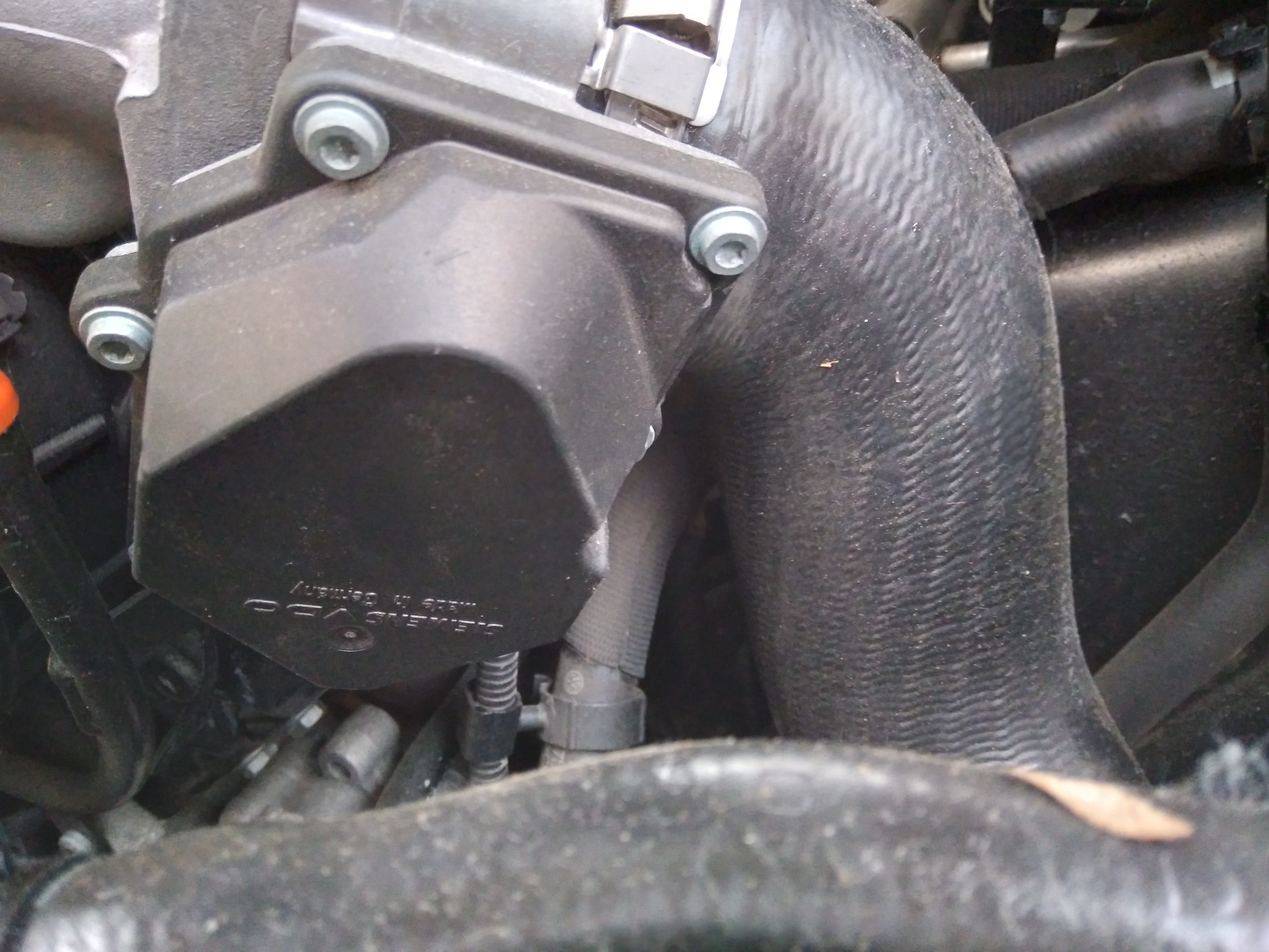 Photo n° 1 de l'avis de Zajim.e fait le 24/06/2023 à 15:05