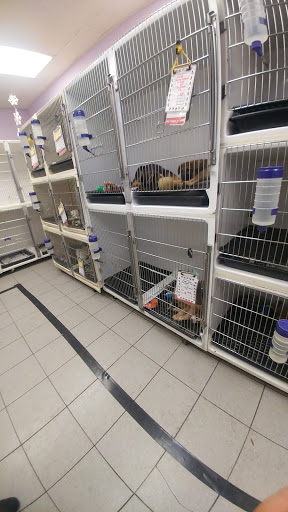 Pet Store «Just Puppies Inc», reviews and photos, 1028 York Rd, Towson, MD 21204, USA