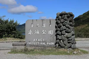 Gunma Kenritsu Akagi Park image