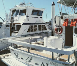 Todos Santos Adventures photo