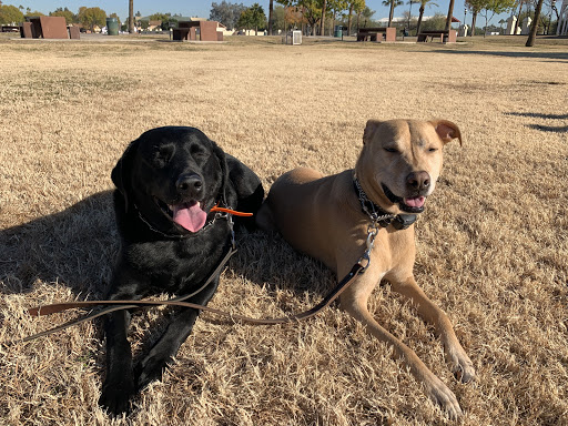 Lorenzo's Dog Training Team, LLC