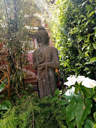 Extérieur Chambre d'hôtes Chambres d'hôtes Cap'Instant 34310 Capestang