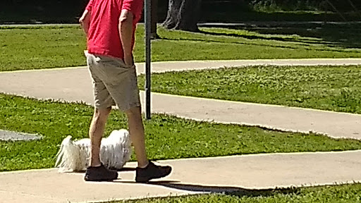 Park «Sparger Park», reviews and photos, 4301 Bedford Rd, Colleyville, TX 76034, USA