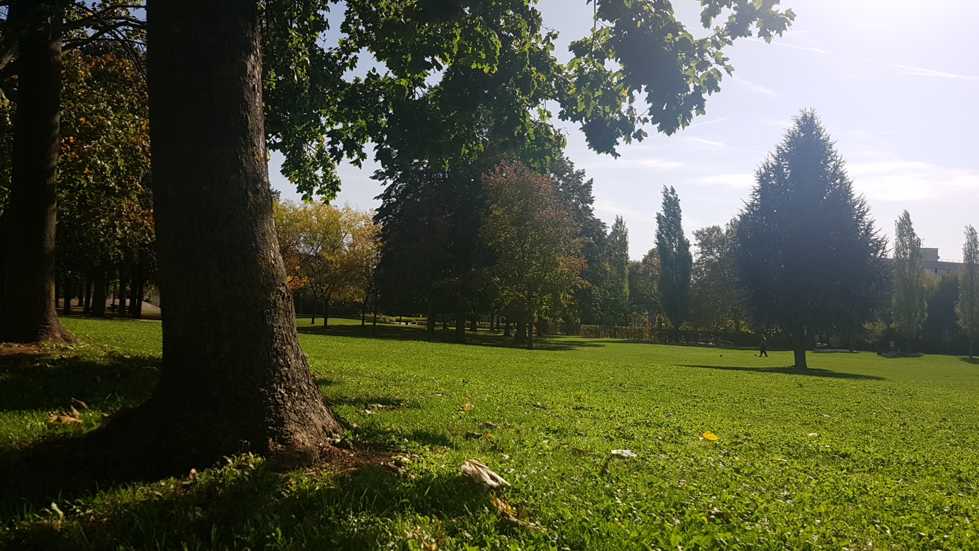 Photo n° 3 de l'avis de Mégane. fait le 13/10/2019 à 10:42