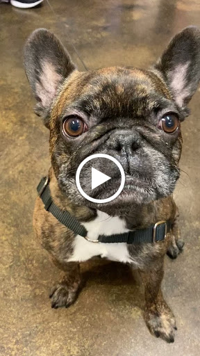 Pet Supply Store «Wag Pet Market LLC», reviews and photos, 2703 N Proctor St, Tacoma, WA 98407, USA