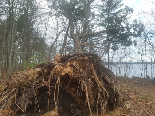 Nature Preserve «Littlejohn Island Preserve», reviews and photos, Pemasong Ln, Yarmouth, ME 04096, USA