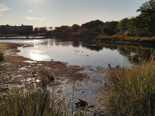 Park «Marine Park», reviews and photos, Fillmore Ave, Brooklyn, NY Brooklyn, USA
