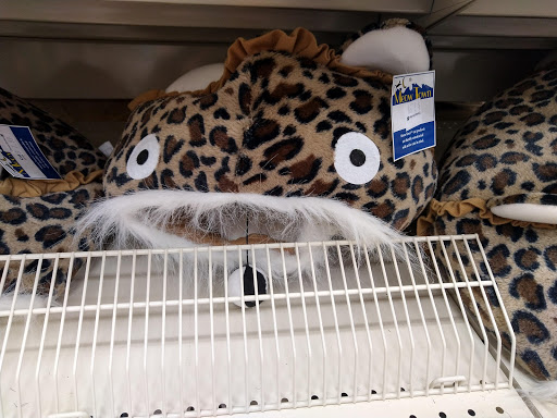 Home Goods Store «Christmas Tree Shops», reviews and photos, 2264 Miamisburg Centerville Rd, Dayton, OH 45459, USA