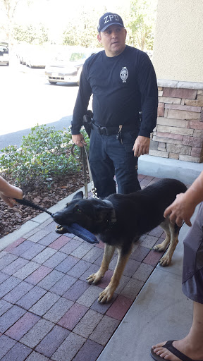 Pet Supply Store «Pet Supermarket», reviews and photos, 7822 Gall Blvd, Zephyrhills, FL 33541, USA