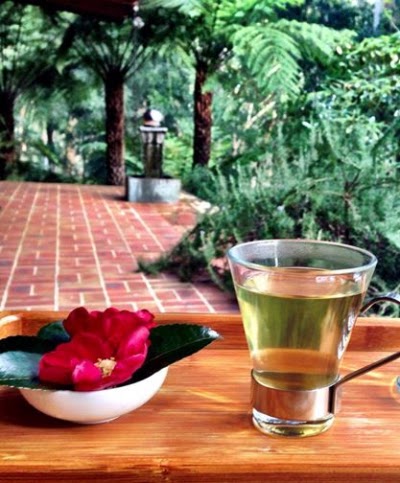 Photos of Piaf Day Spa Yarra Valley