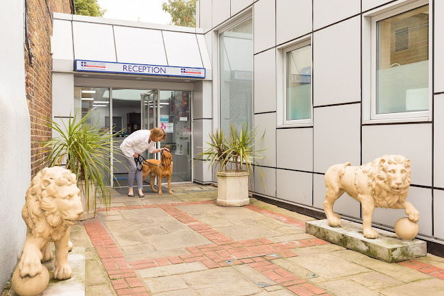 Goddard Veterinary Group Stone Lion Veterinary Hospital - London