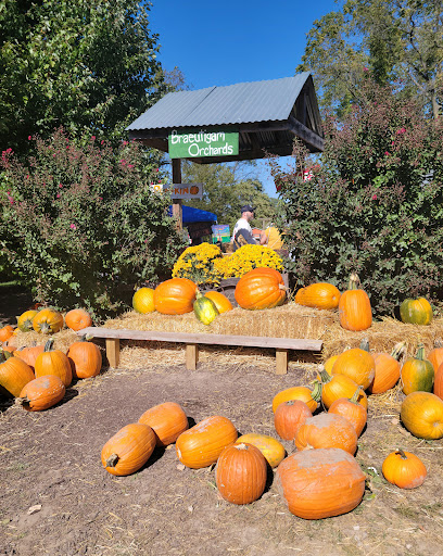 Pumpkin patch Saint Louis