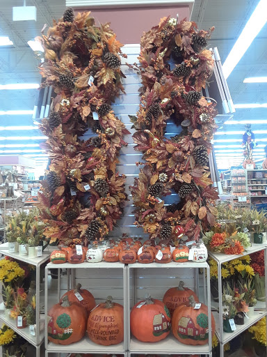 Home Goods Store «Christmas Tree Shops», reviews and photos, 2350 Lincoln Hwy E, Lancaster, PA 17602, USA