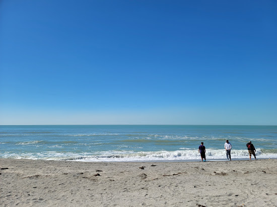 Venice beach