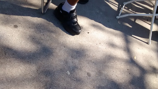 Memorial Park «Veterans Memorial Park», reviews and photos