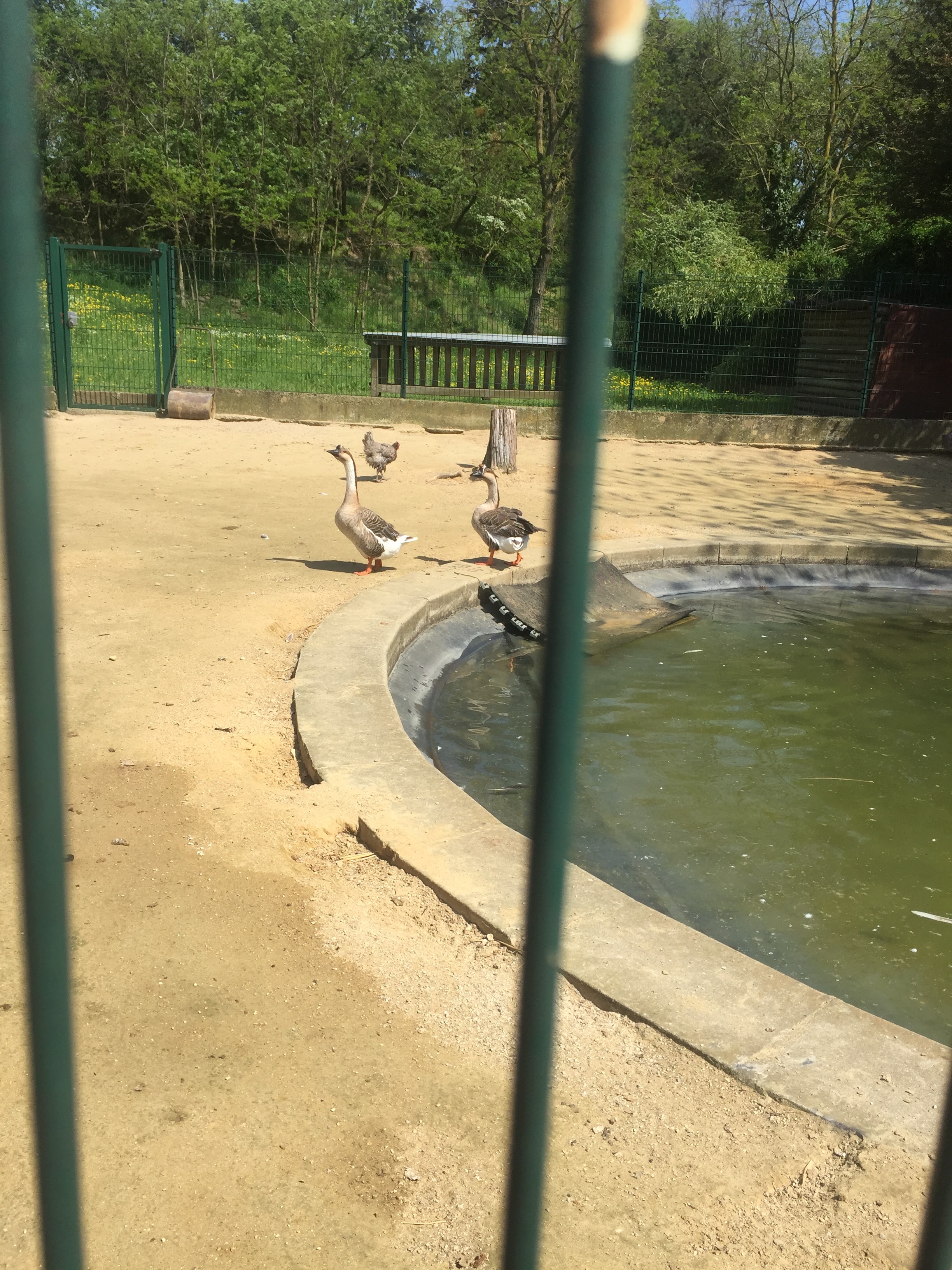 Photo n° 8 de l'avis de lou.o fait le 21/04/2018 à 14:21