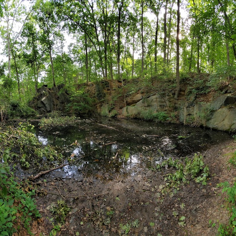 The Trails at Cowenton Ridge Park