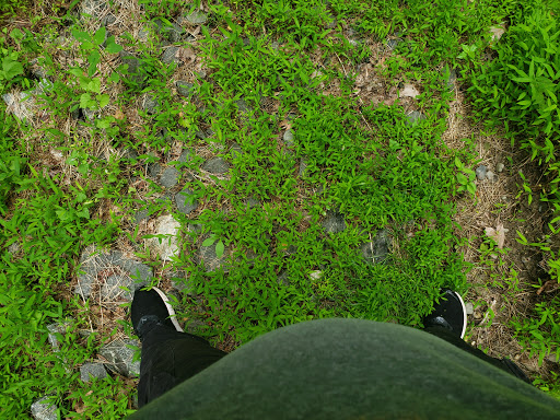 Golf Course «Phillip J. Rotella Memorial Golf Course», reviews and photos, 100 Thiells Mt Ivy Rd, Thiells, NY 10984, USA