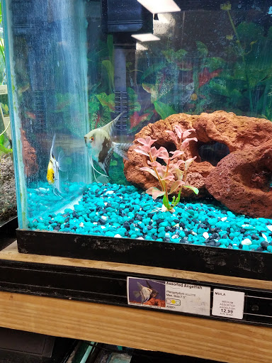 Garden Center «A W Brown Pet & Garden», reviews and photos, 144 Shaker Rd, East Longmeadow, MA 01028, USA