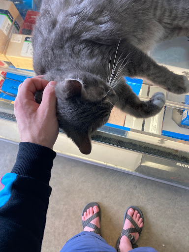 Bicycle Store «Bicycle Doctor», reviews and photos, 2910 Cole Ct, Norcross, GA 30071, USA