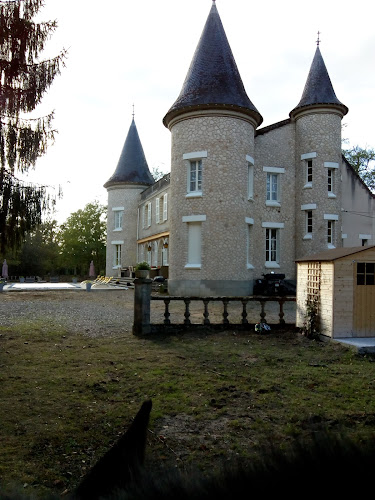 Château du Bas Boulay à Salbris