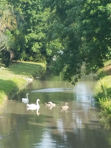 Campground «Ocean Lakes Campground», reviews and photos, 6001 S Kings Hwy, Myrtle Beach, SC 29575, USA