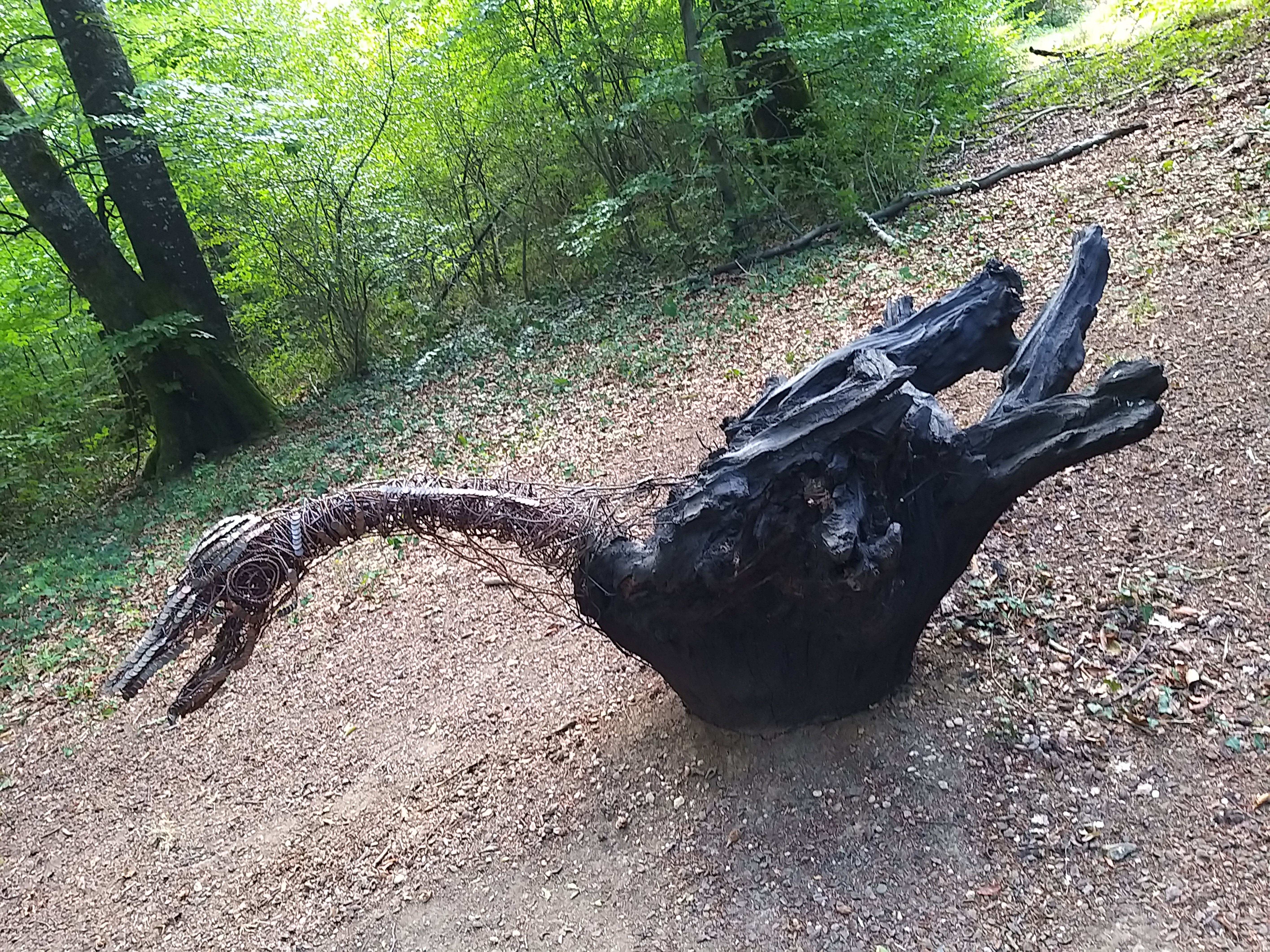Photo n° 5 de l'avis de Patrice. fait le 30/08/2020 à 15:23