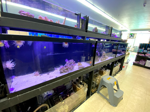 Tropical Fish Store «Lovely Pets Aquarium Store», reviews and photos, 69 Parkingway, Quincy, MA 02169, USA