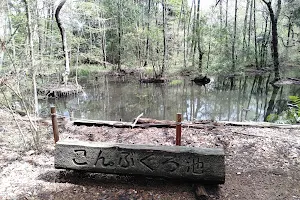 Konbukuroikeshizenhakubutsu Park image